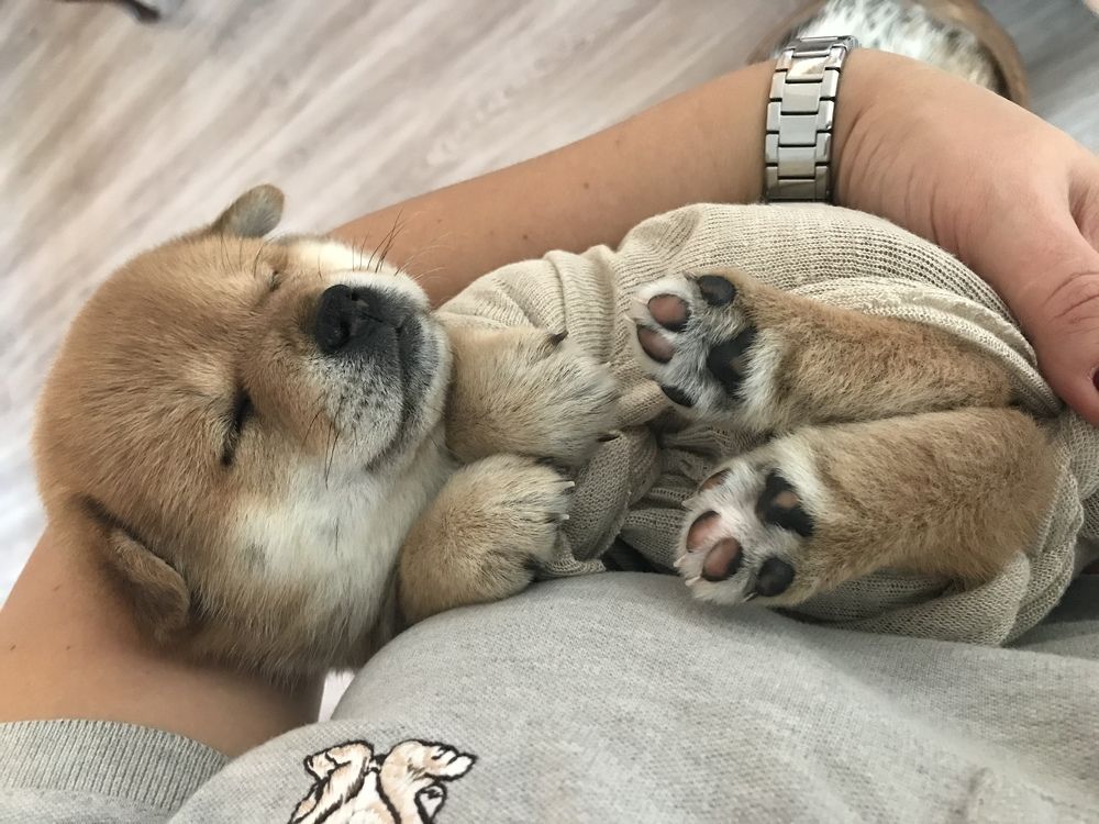 Photograph by Инна Макеева