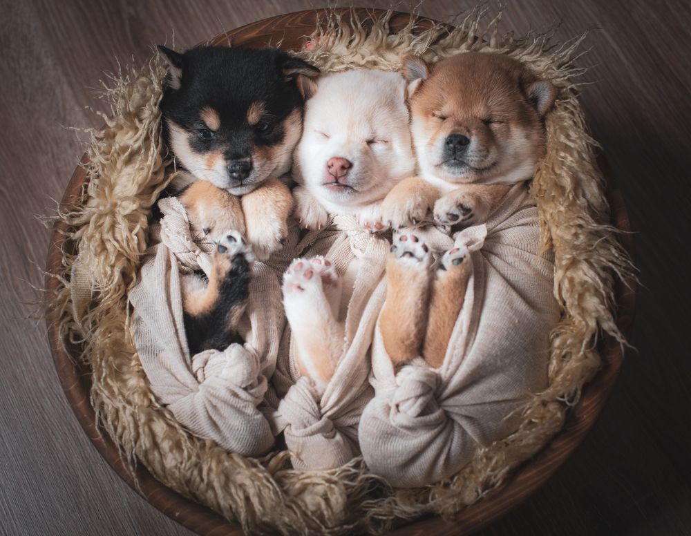 Photograph by Инна Макеева