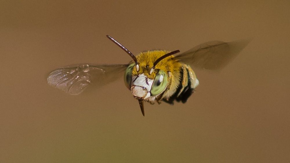 Photograph by Gajendra Bawane
