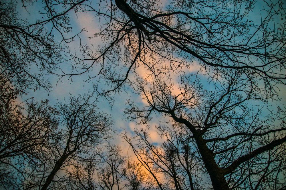 Фотография автора Suzana Svecnjak