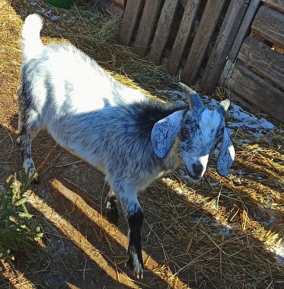 Photograph by Борис Каширин