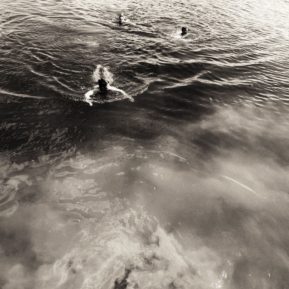 Photo #6119700