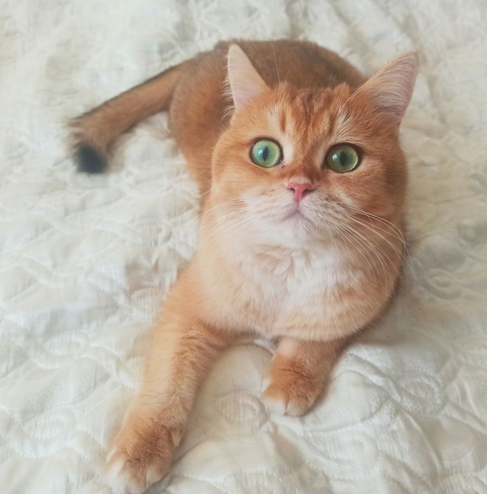 Photograph by Борис Каширин