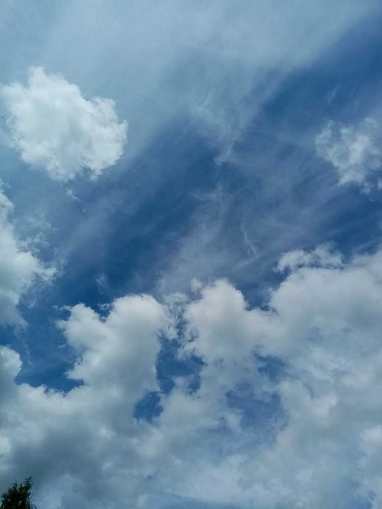 Photograph by Тася Милая