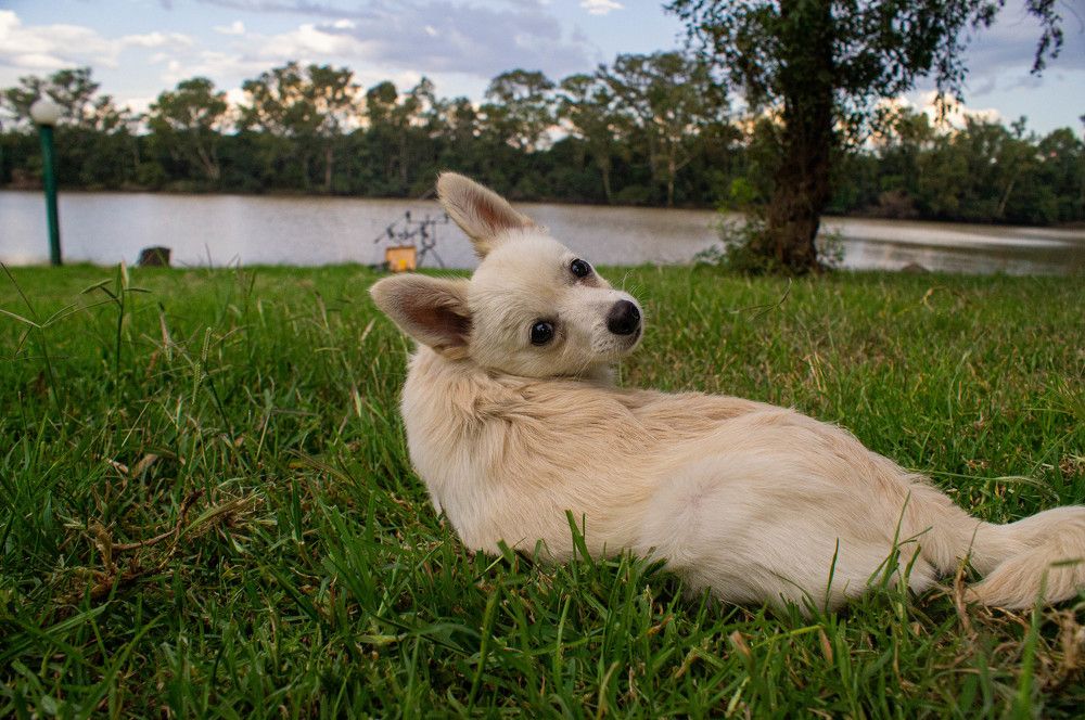 Photograph by Macaela Becker