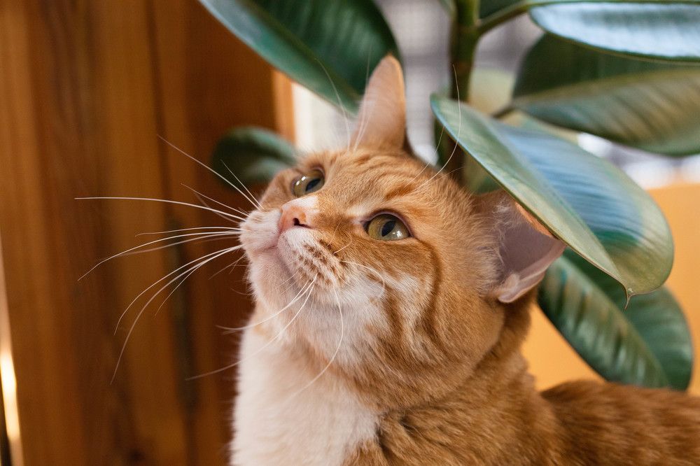 Photograph by Екатерина Аксёнова