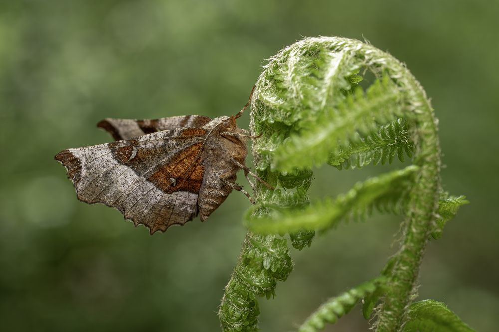 Фотография автора Eimar Kull