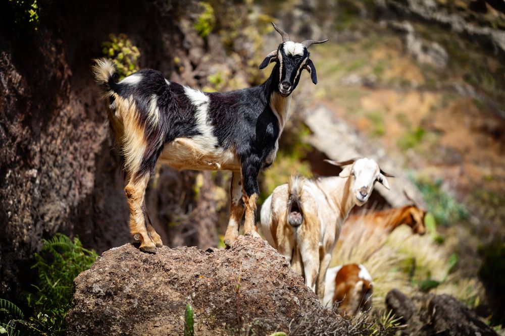 Photograph by Jose Luis Mendez Fernandez