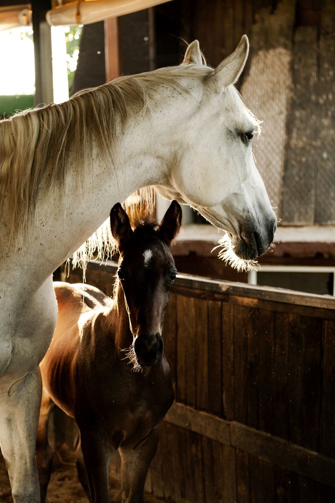 Photograph by Antonina Geçkil