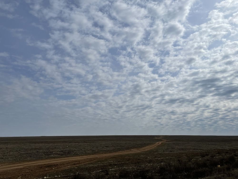 Фотография автора Anna Kochergina