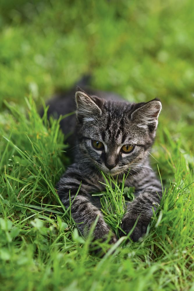 Photograph by Natalia Badyul