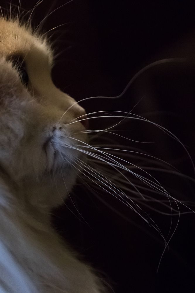 Photograph by Мария Тёмкина