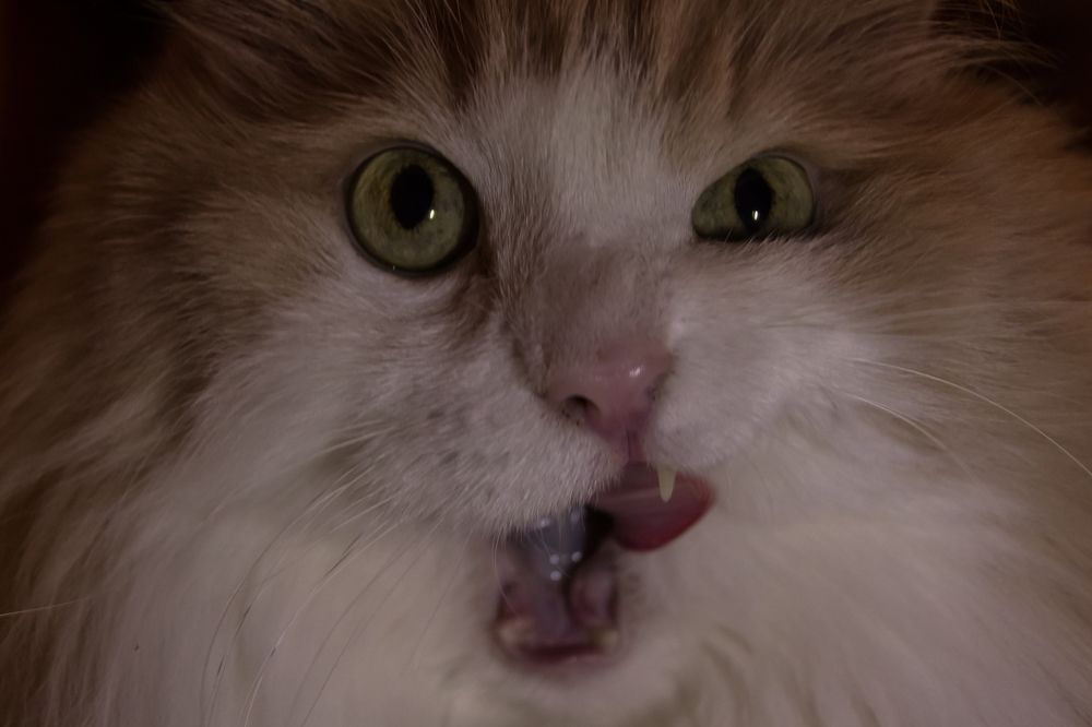 Photograph by Мария Тёмкина