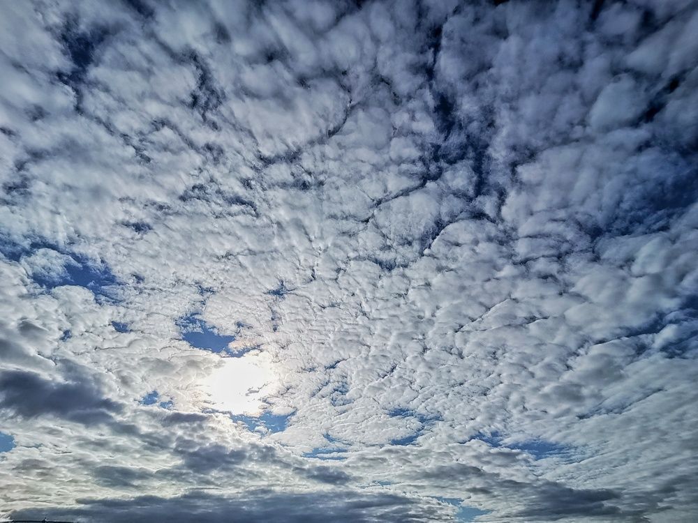 Photograph by Мария Тёмкина