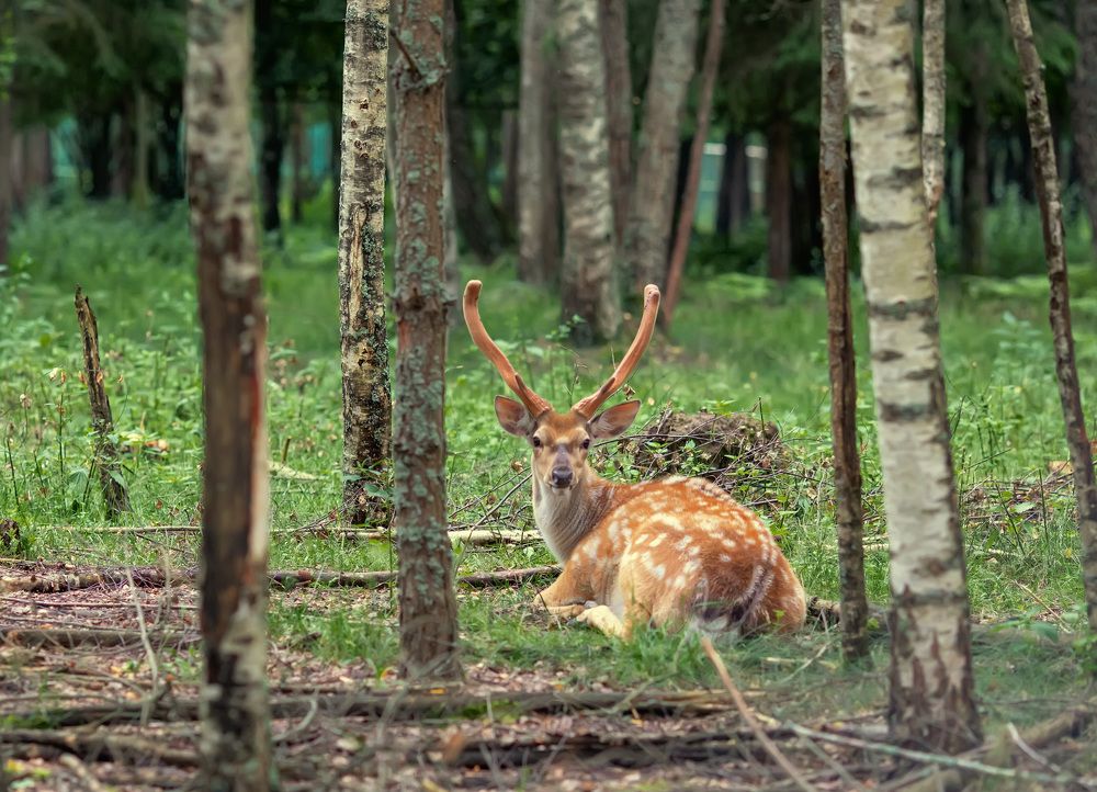Photograph by Наталья Шалкевич