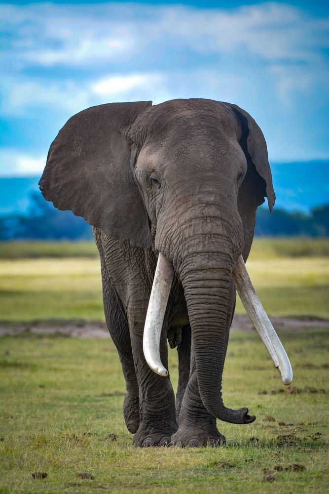 Photograph by Obadia Muraya