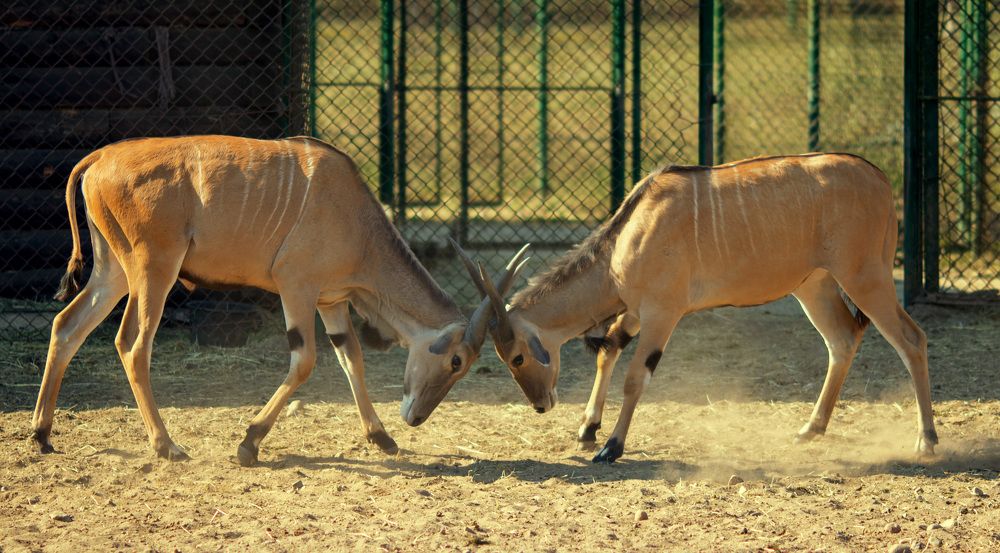 Photograph by Наталья Шалкевич
