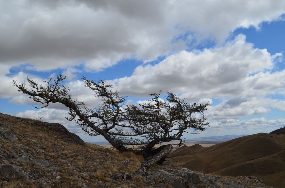 Photograph by Елена Кожевникова