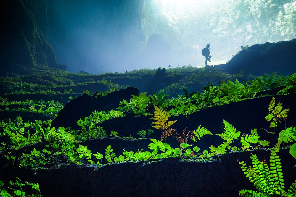 Photograph by Tue Nguyen