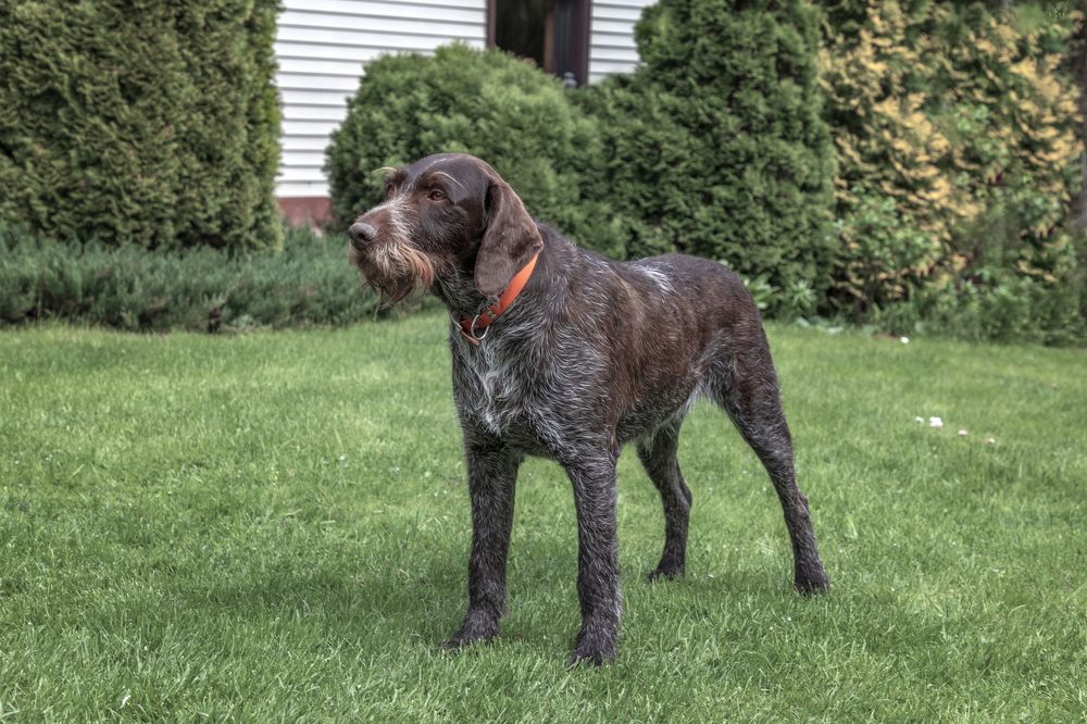 Photograph by Елена Гусева