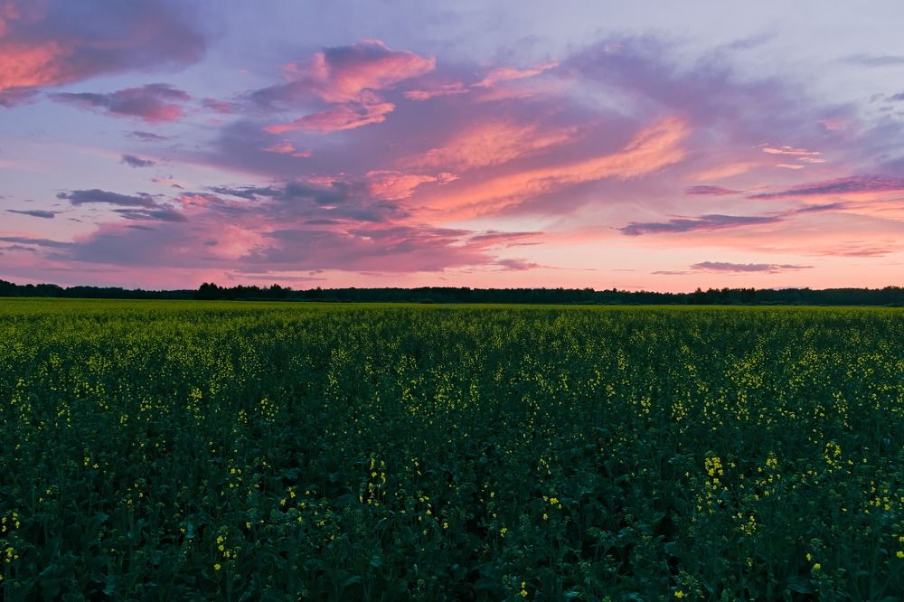 Photograph by Вадим Коротеев