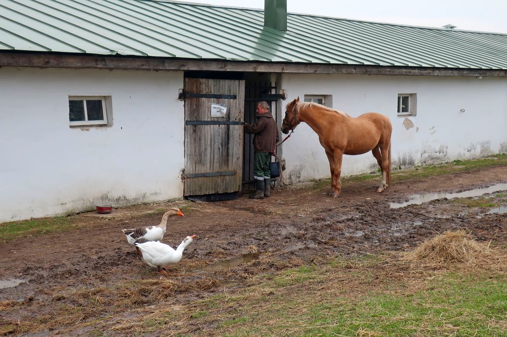 Photograph by Ольга Стоун