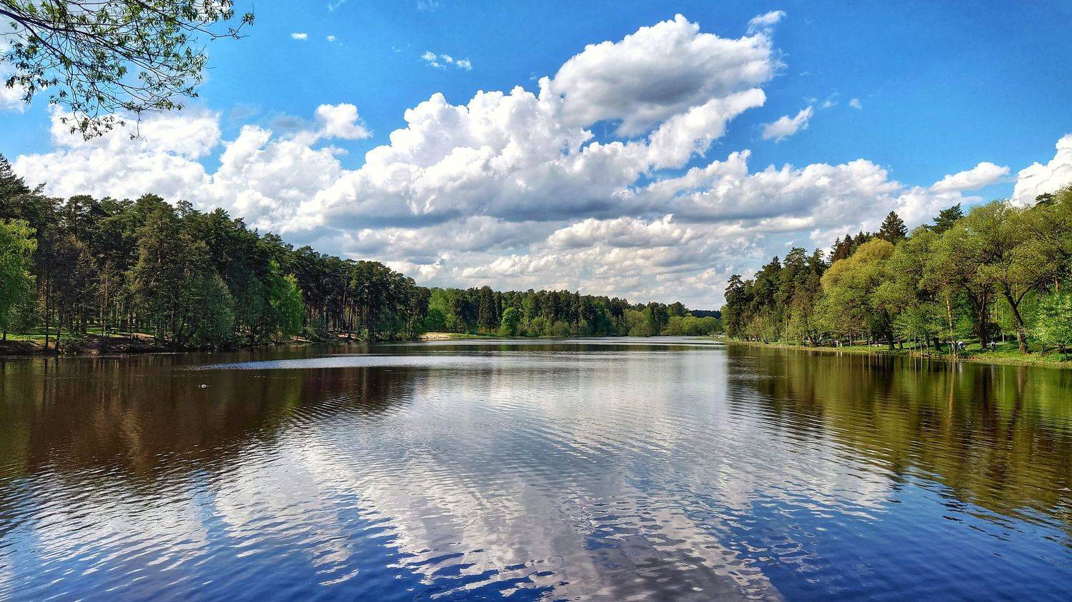 Всегда разное Кратовское озеро.