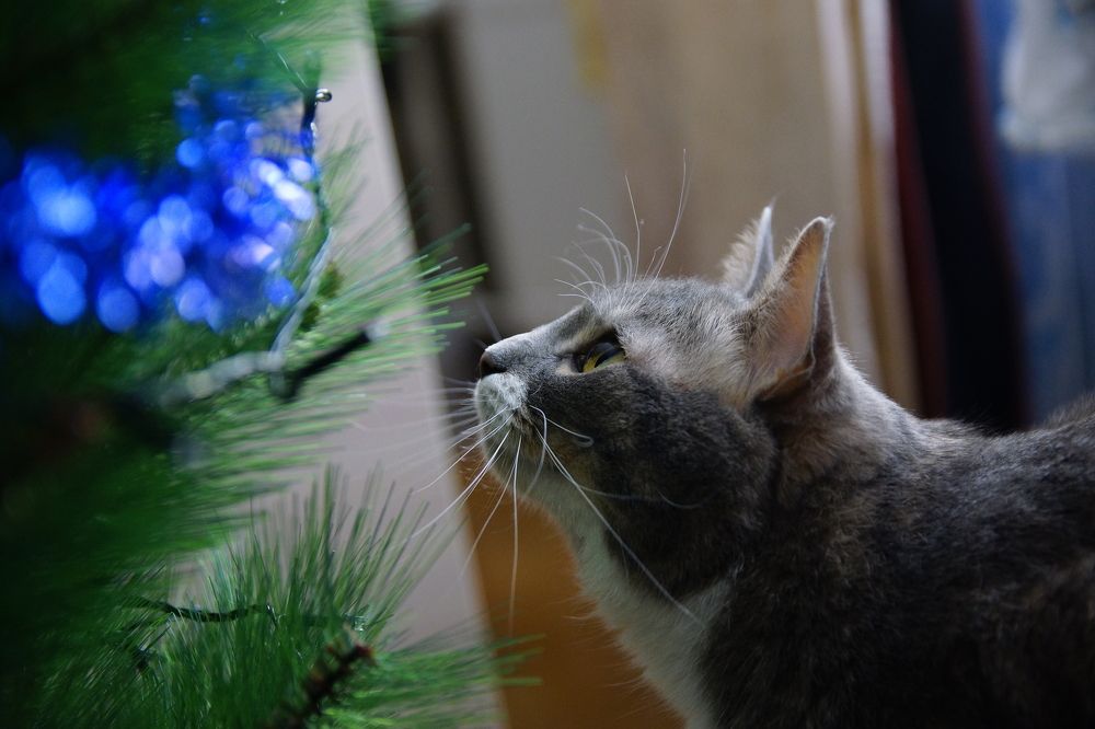 Photograph by Михаил Азаров