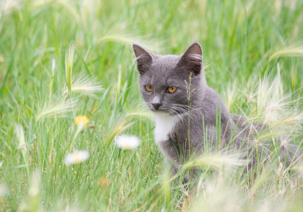 Photograph by Андрей Красников