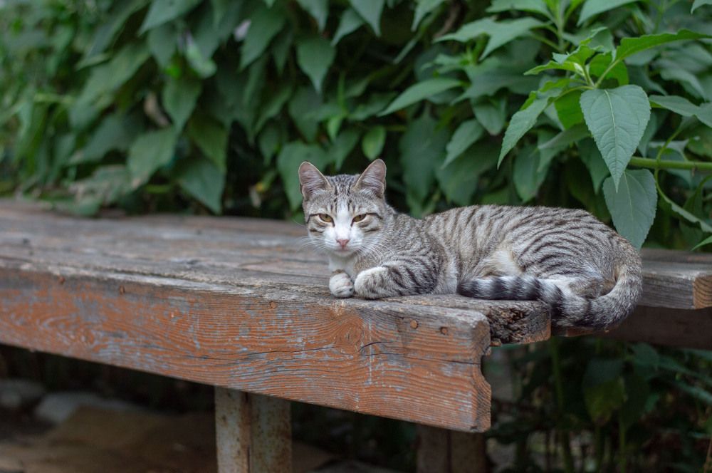 Photograph by Андрей Красников