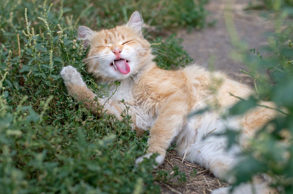 Photograph by Андрей Красников