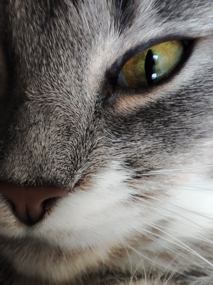 Photograph by Михаил Азаров