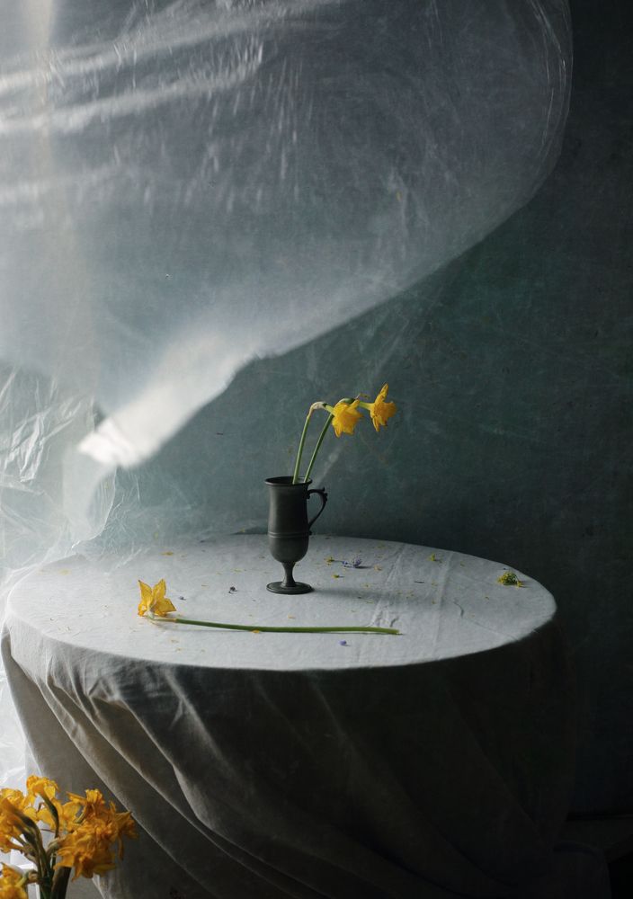 Photograph by Мария Сапего