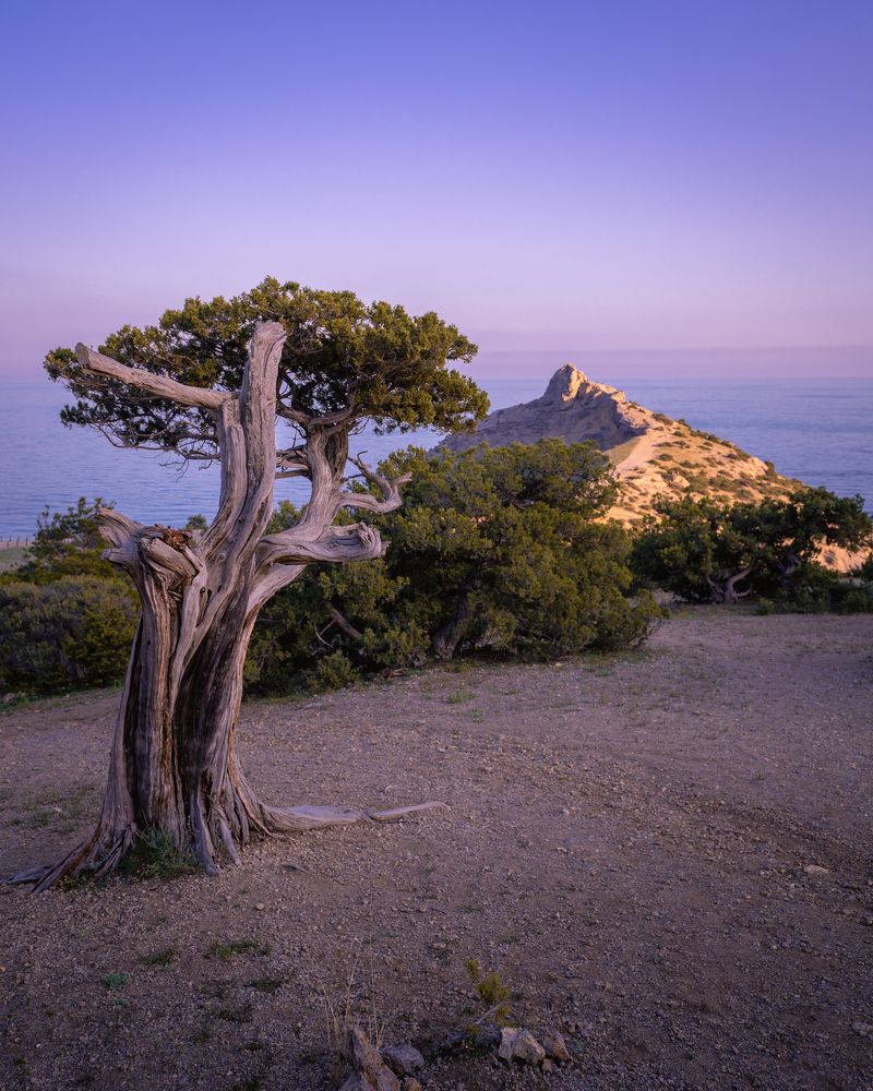 Мыс Капчик на закате.