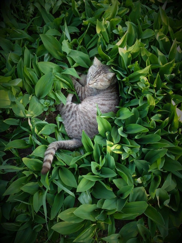 Photograph by Мария Коробова