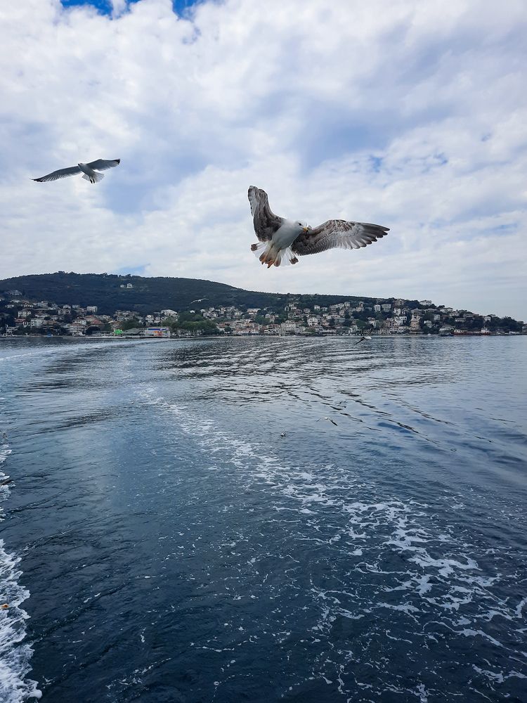 Photograph by Ольга Кудина