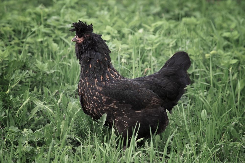 Photograph by Елена Гусева