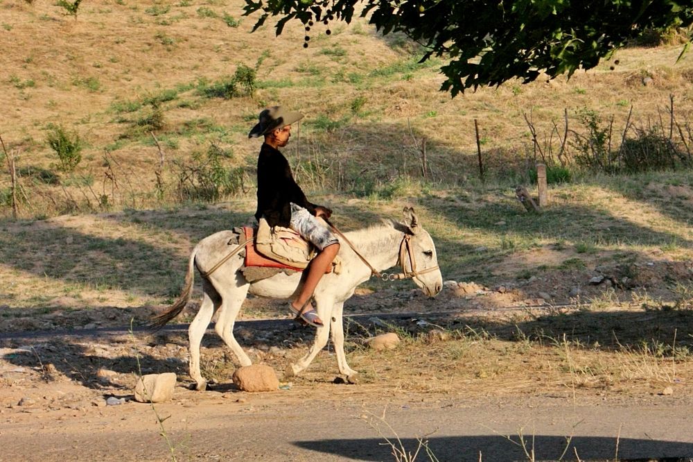 Дорога домой