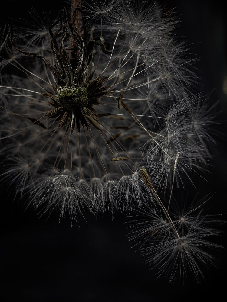 Photograph by Анна Кабиева