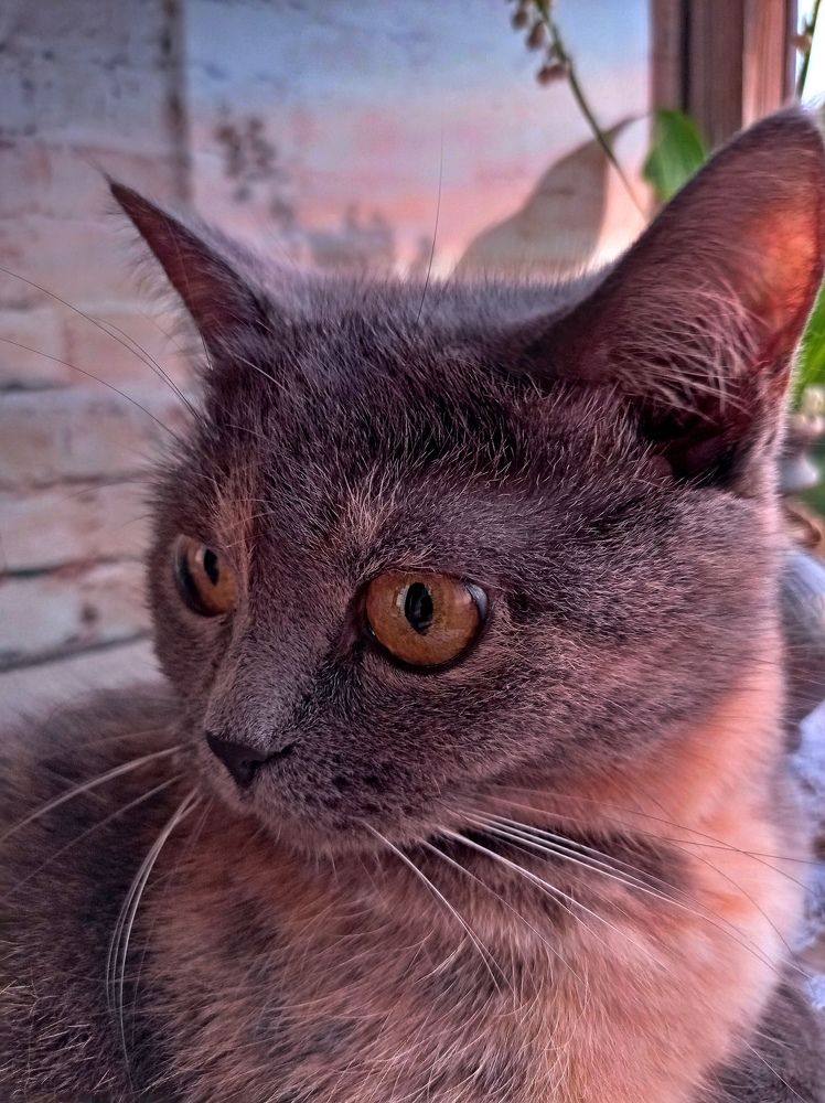 Photograph by Наталья Стальмакова