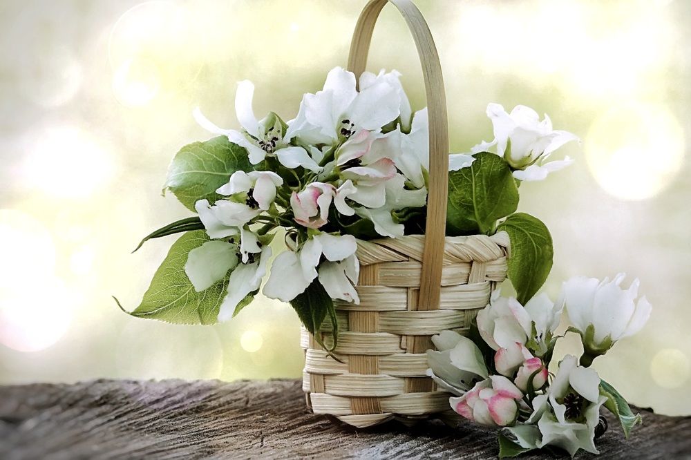 Photograph by Ирина