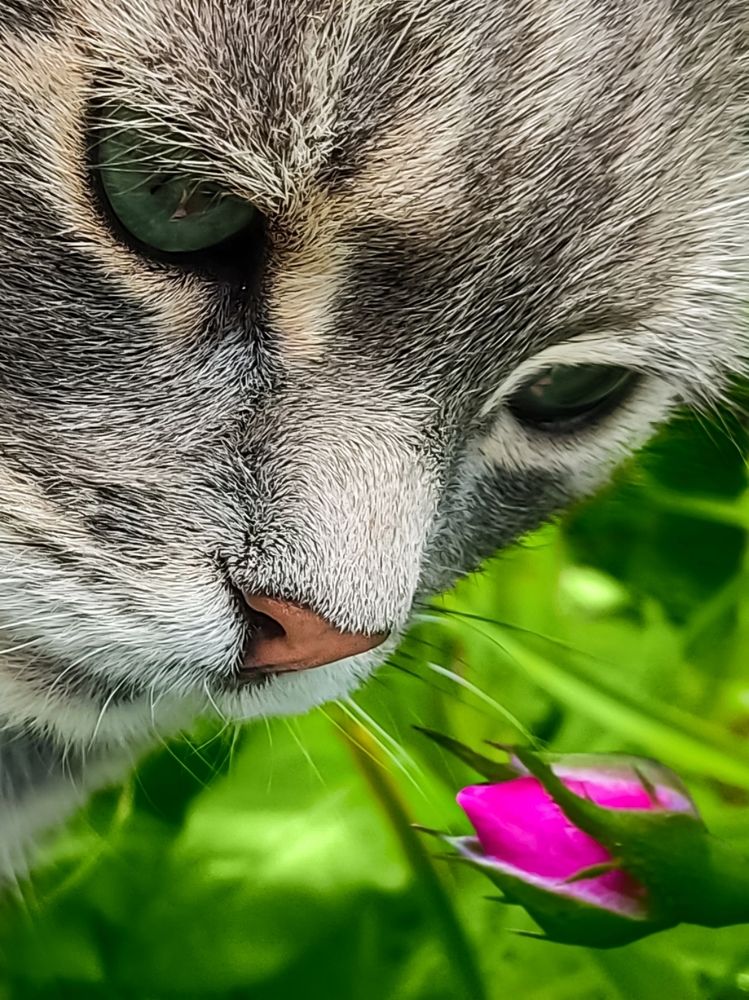 В гармонии...