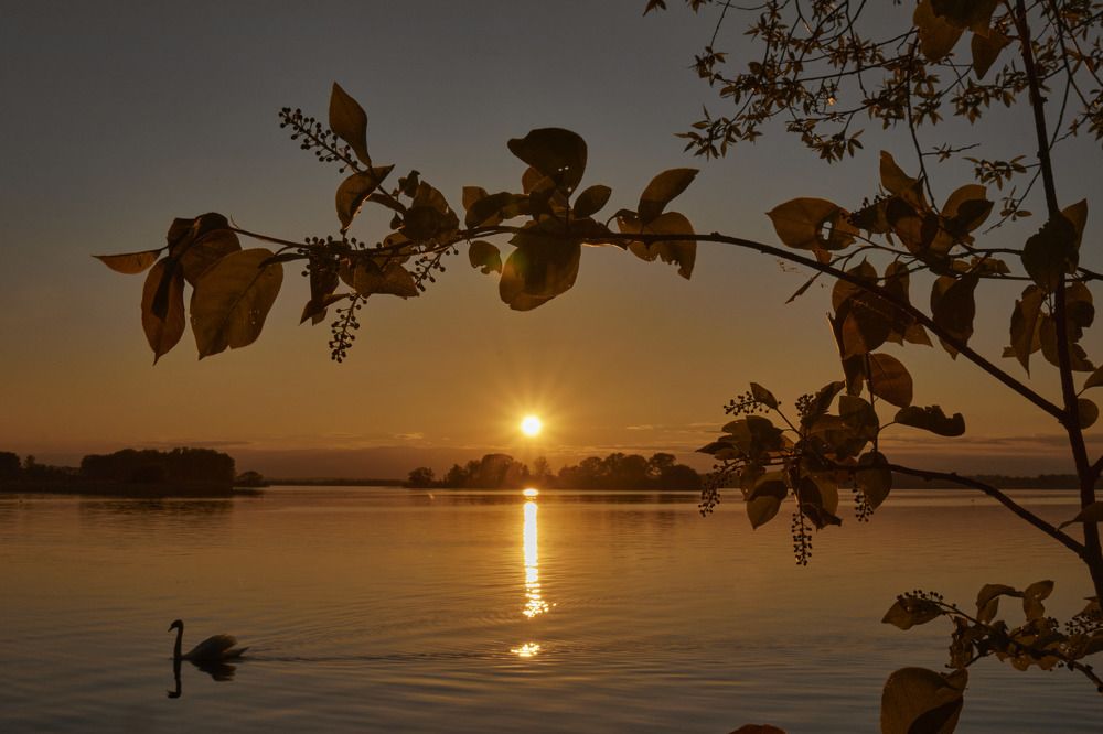 Photograph by Татьяна Полянская