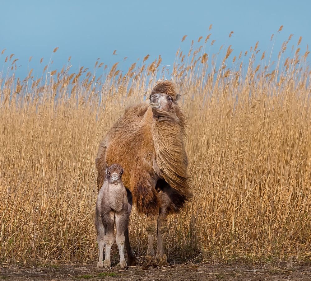 Photograph by Лашков Фёдор