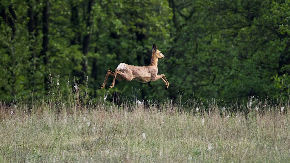 Photograph by Мазурин Евгений