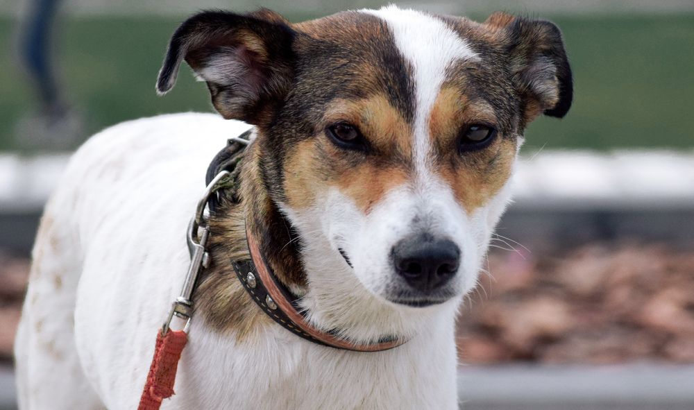 Photograph by Aleksandra Chu