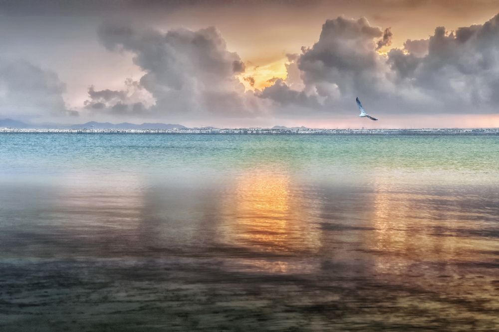 Photograph by Марина Ческис