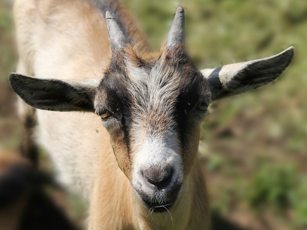 Photograph by Сергей Иванов