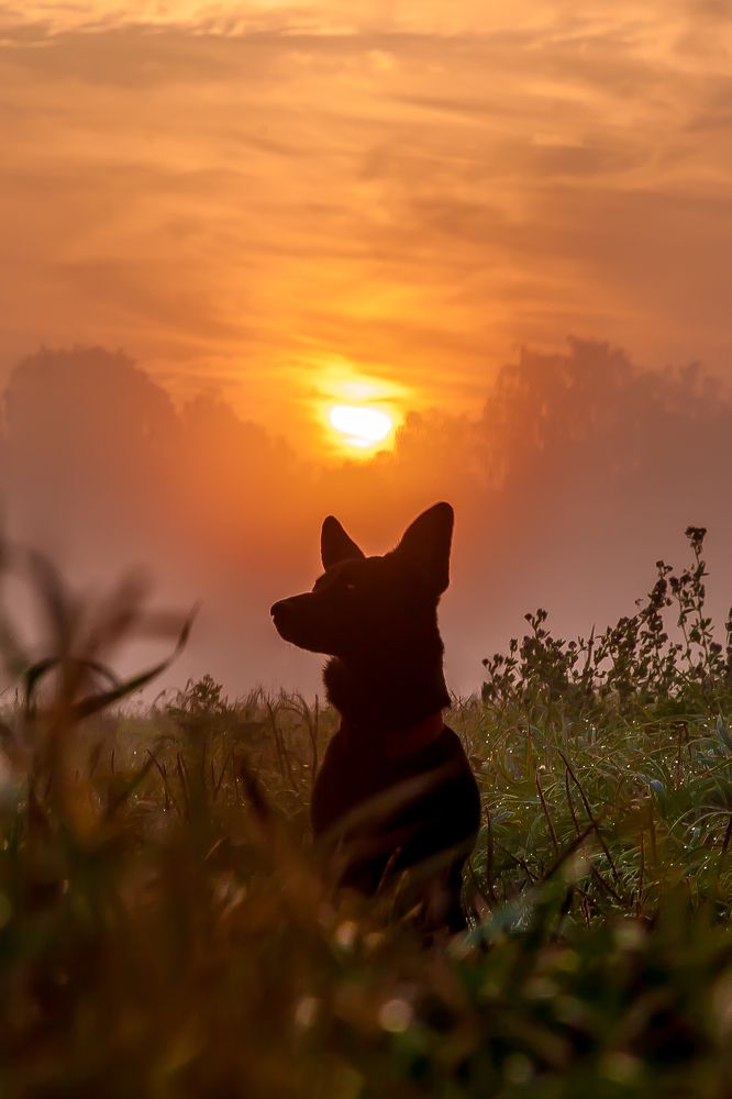 Photograph by Пирожков Александр