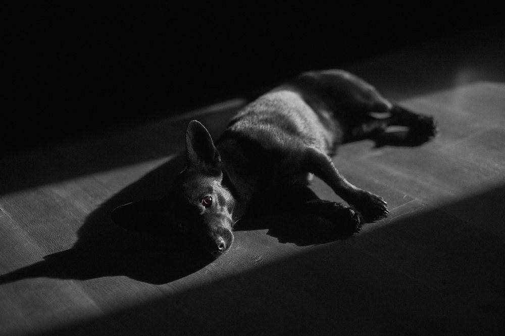 Photograph by Пирожков Александр